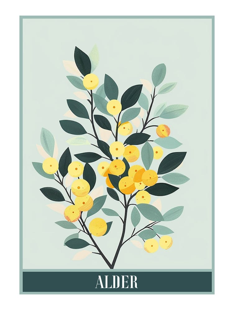 Alder Tree Flat Illustration 4 Poster