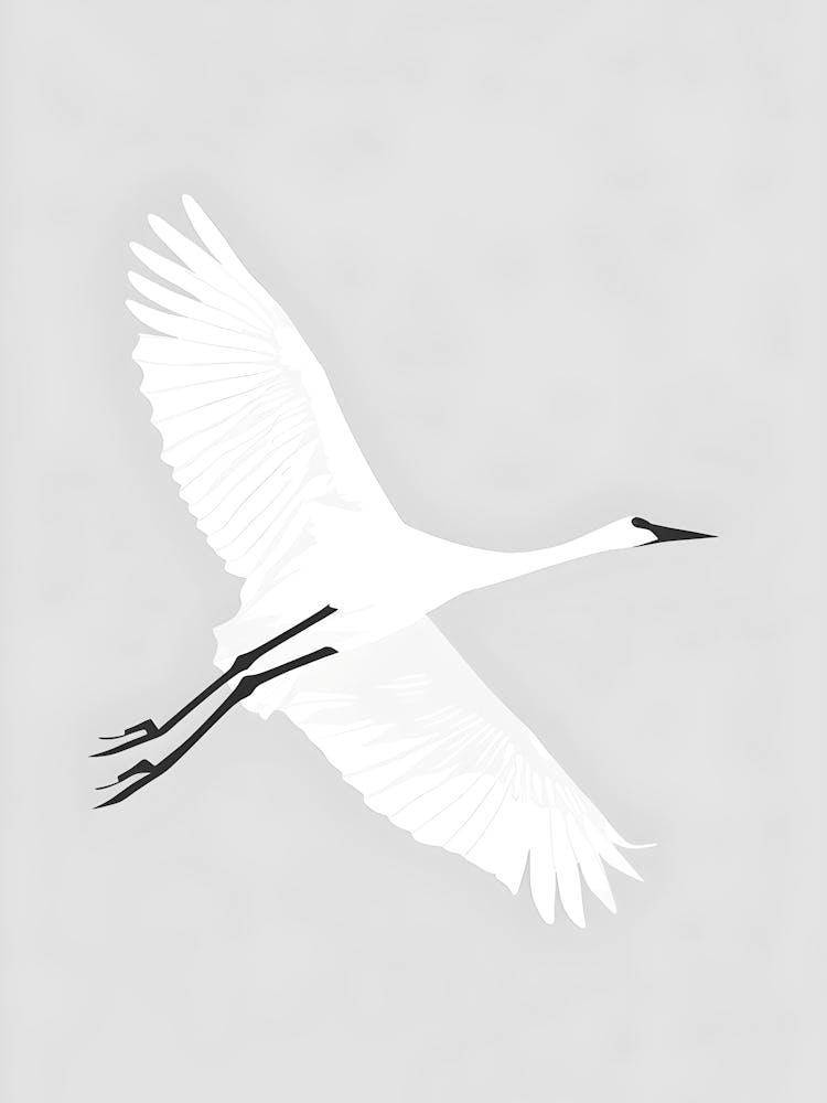 Egret In Flight