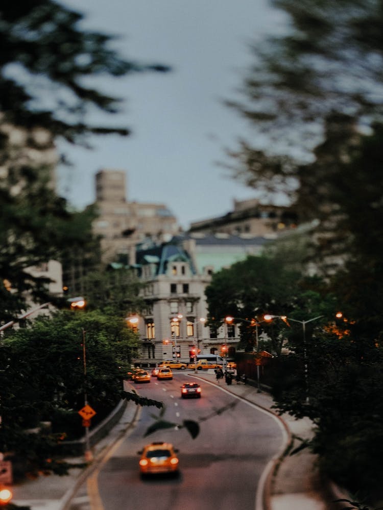 Central Park Stories