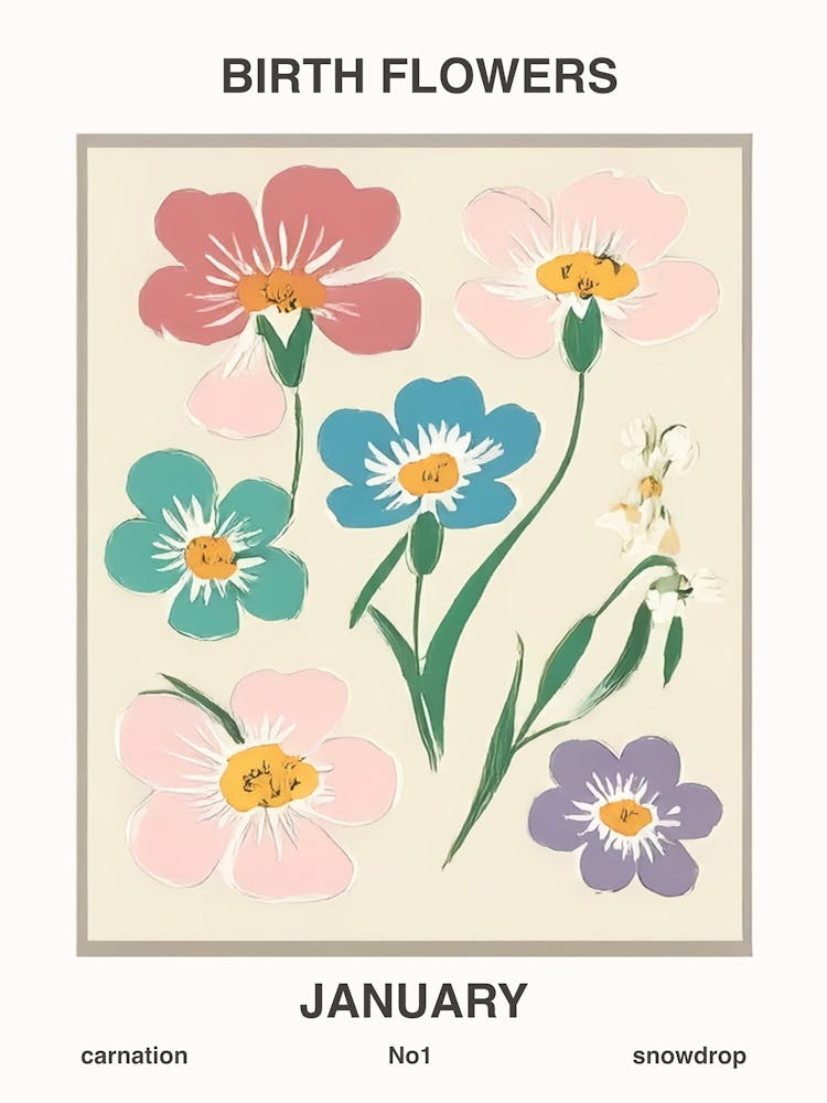 Birth Flowers January