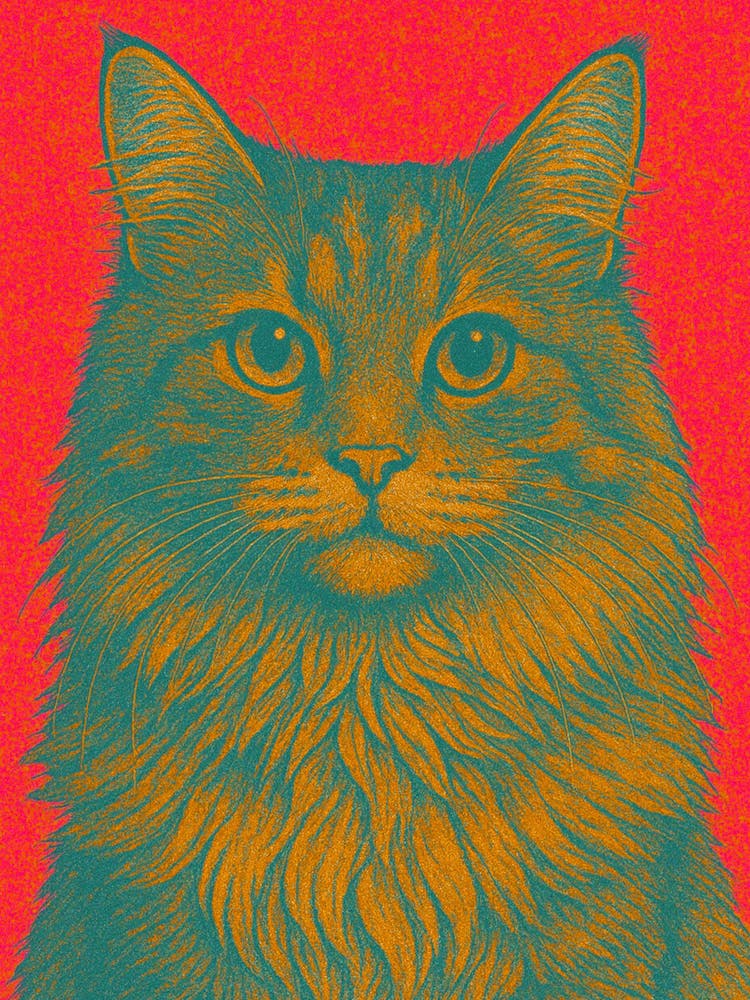 Cat Portrait 3