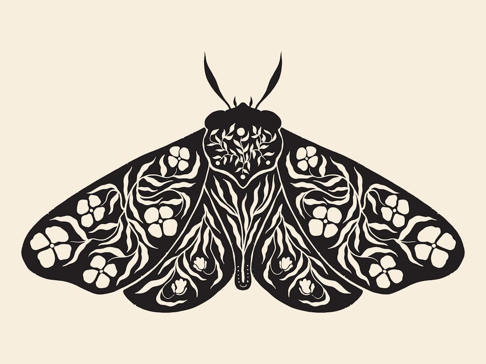 Folk Art Moth 04 - Ink
