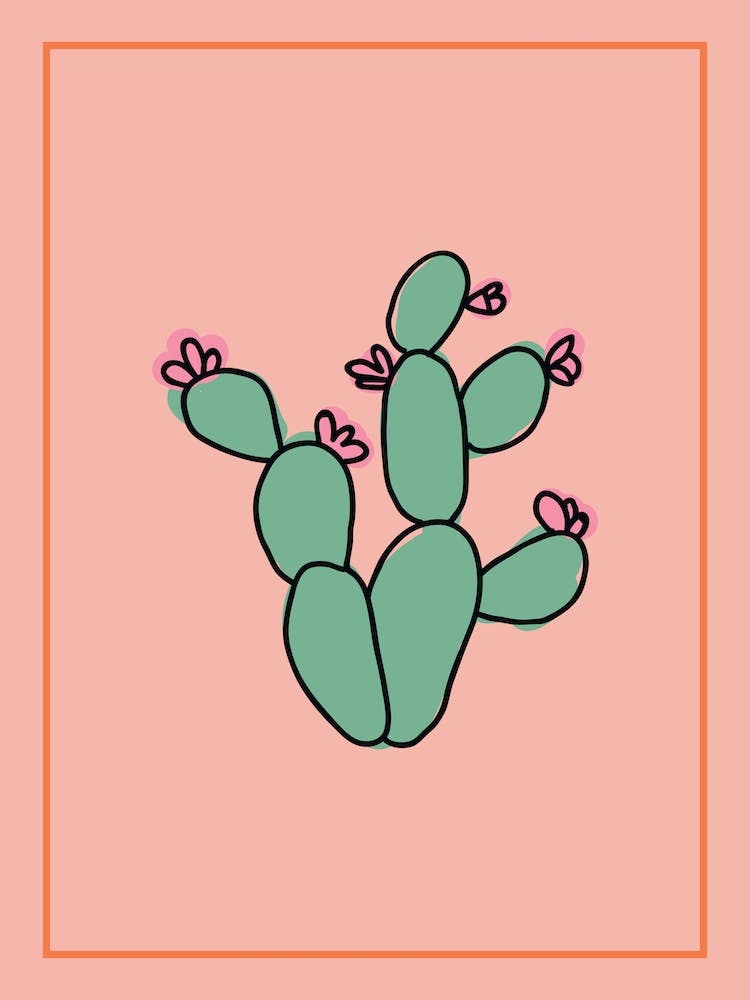 Tall Cactus Pink & Green Line