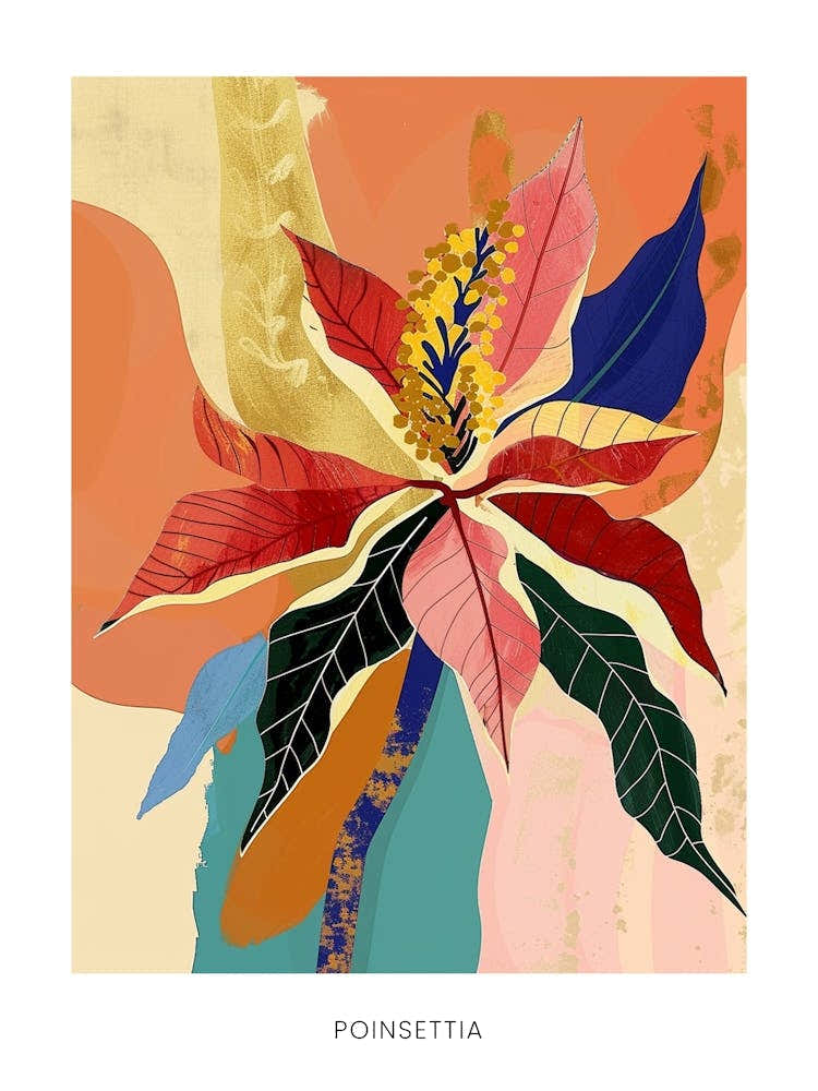 Colourful Flower Illustration Poster Poinsettia 3
