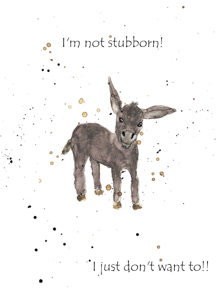Stubborn Donkey