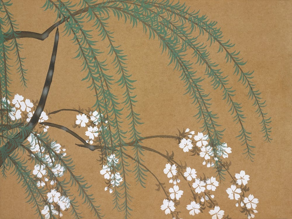 Blossoms From Momoyogusa –Flowers Of A Hundred Generations (1909), Kamisaka Sekka