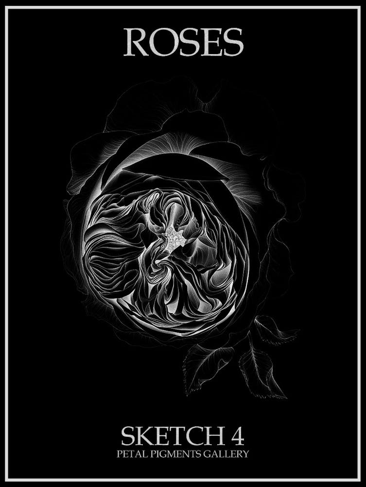 Roses Sketch 4 Poster Inverted