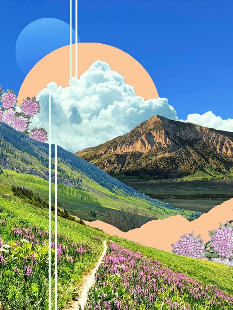 Wildflower Trail