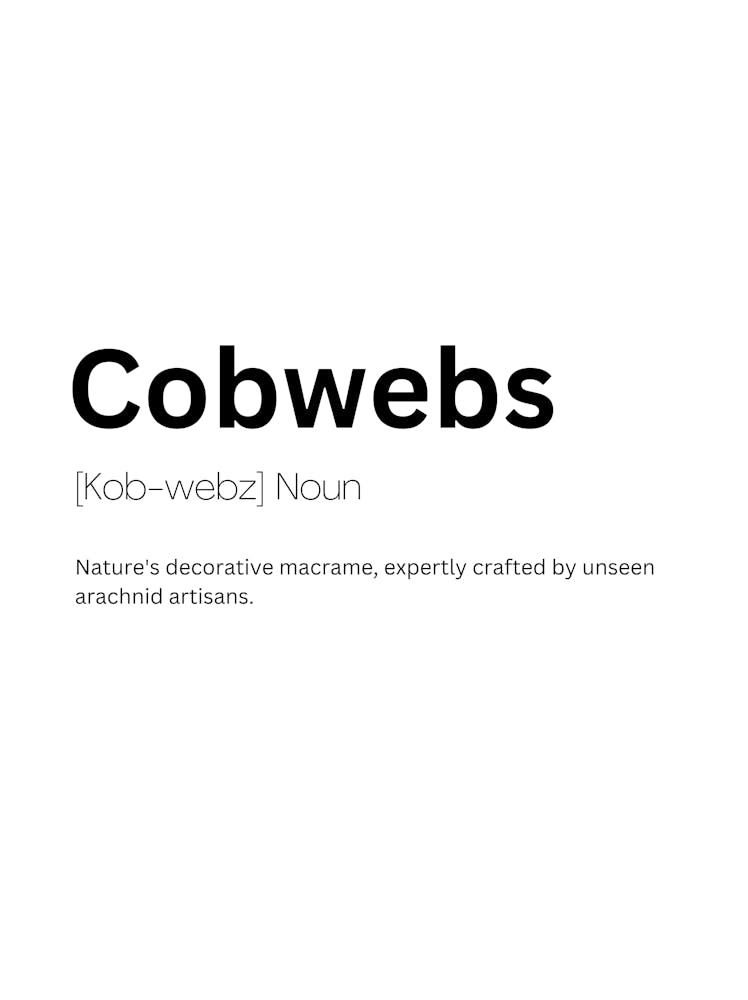 Cobwebs Definition Meaning 1