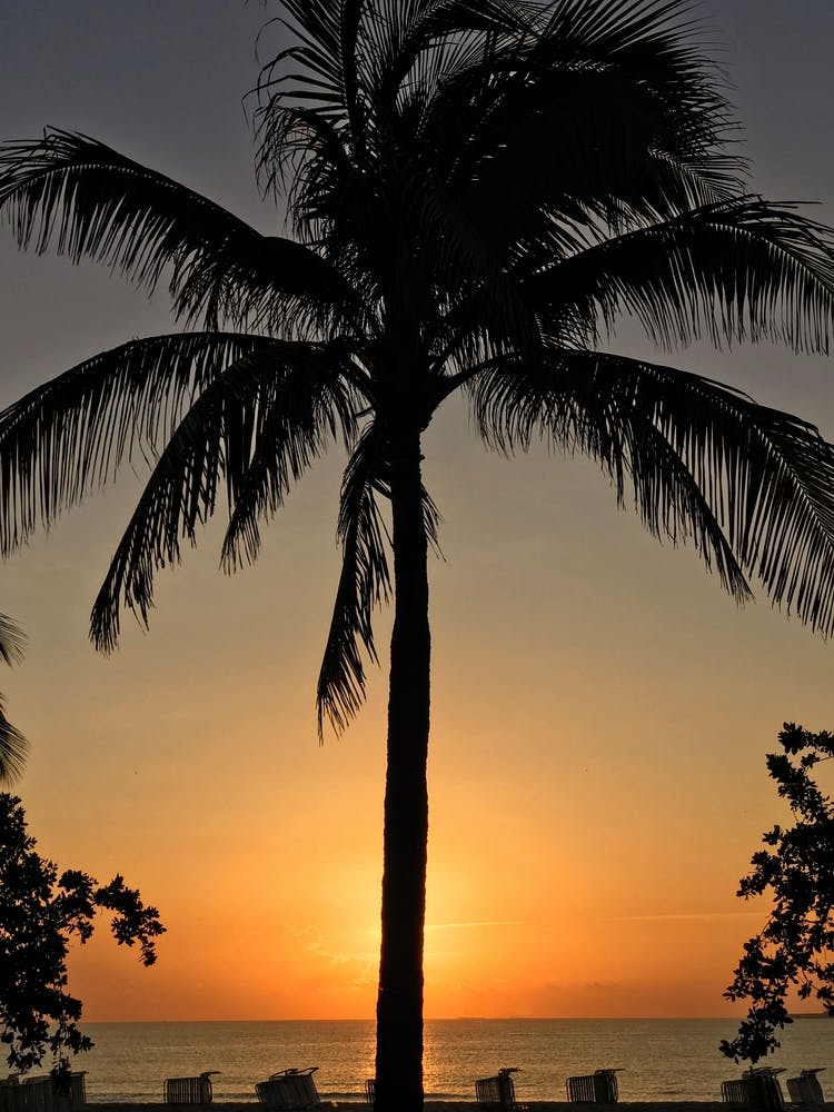 Img 4929 Original Copy