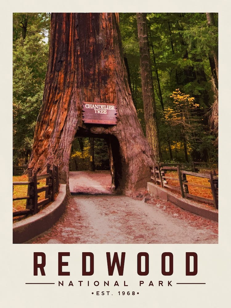Redwood Minimalist Travel Poster