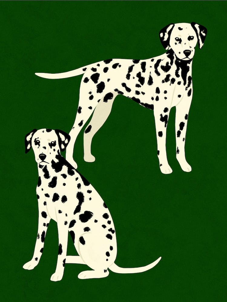 Dalmatians