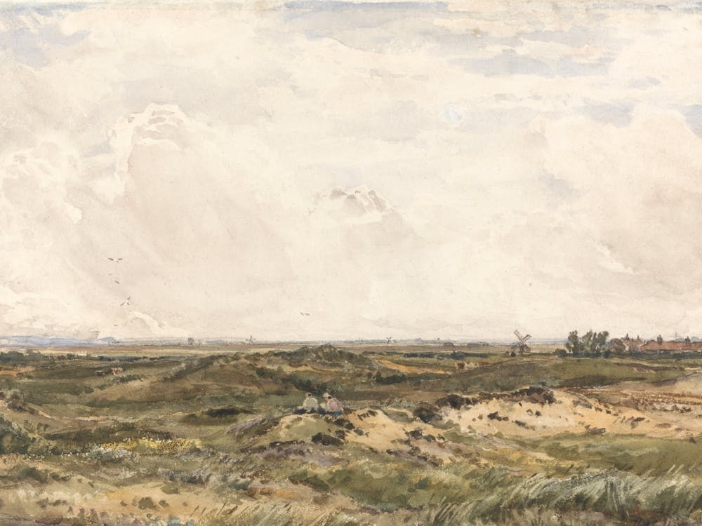 View Of The Dunes