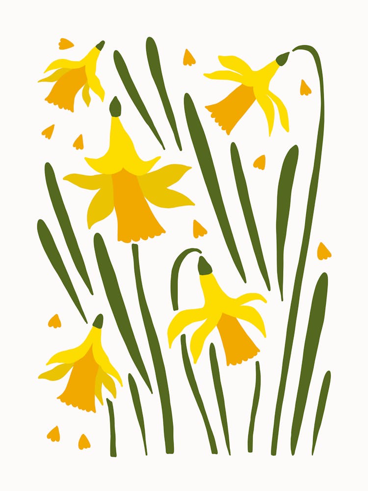 Daffodils