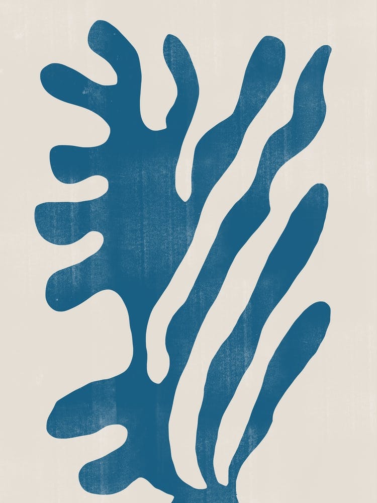 Blue Coral, Ocean Life