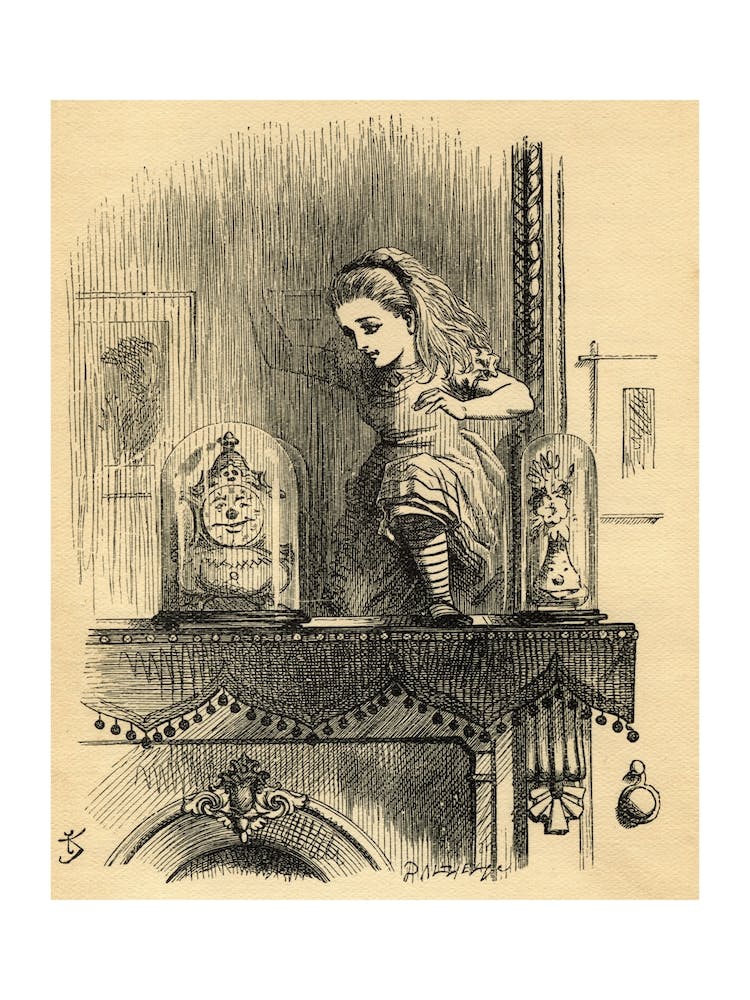 Alice In The Looking Glass House