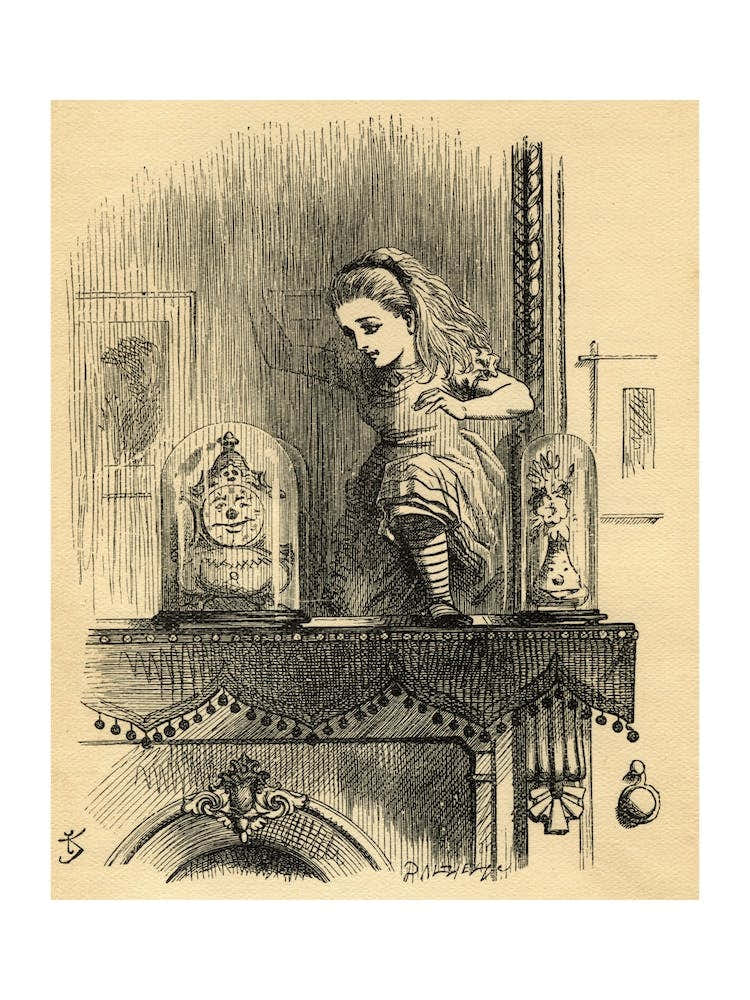 Alice In The Looking Glass House