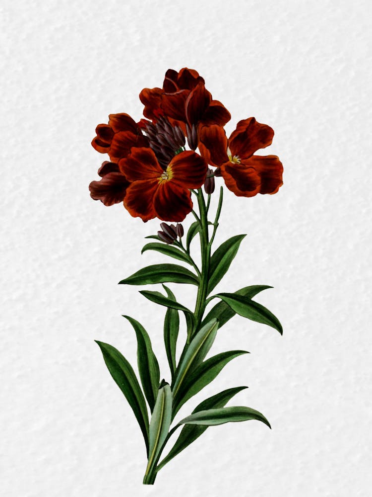 Rote Blumen 4