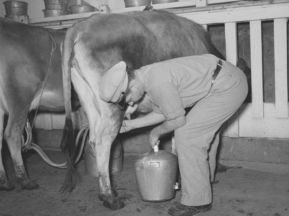 Image From Rawpixel Id 12143884 Jpeg