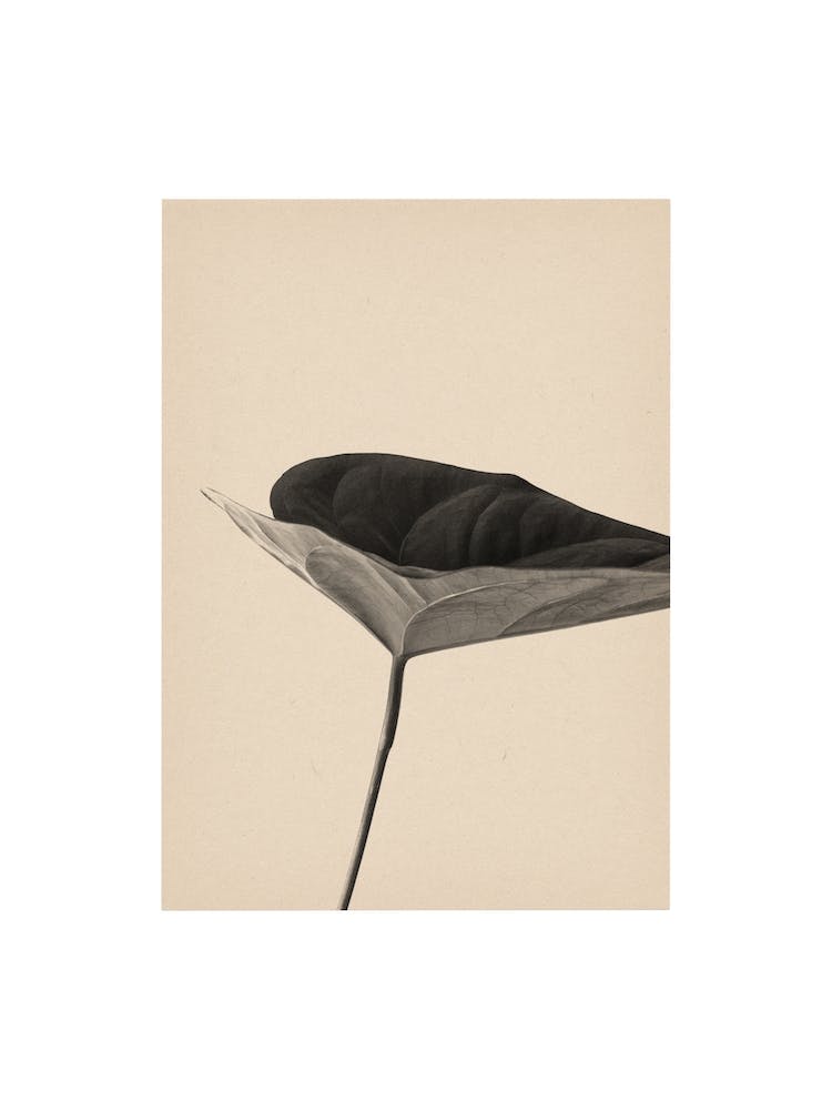 Nature Mix And Match 22