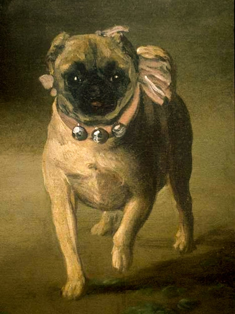 A Pug Dog by Francisco Goya (1748-1828) "The Marques a de Pontejos" HD Remastered