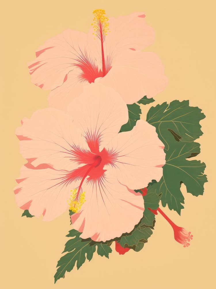 Hibiscus Flower Big Bold Illustration 1