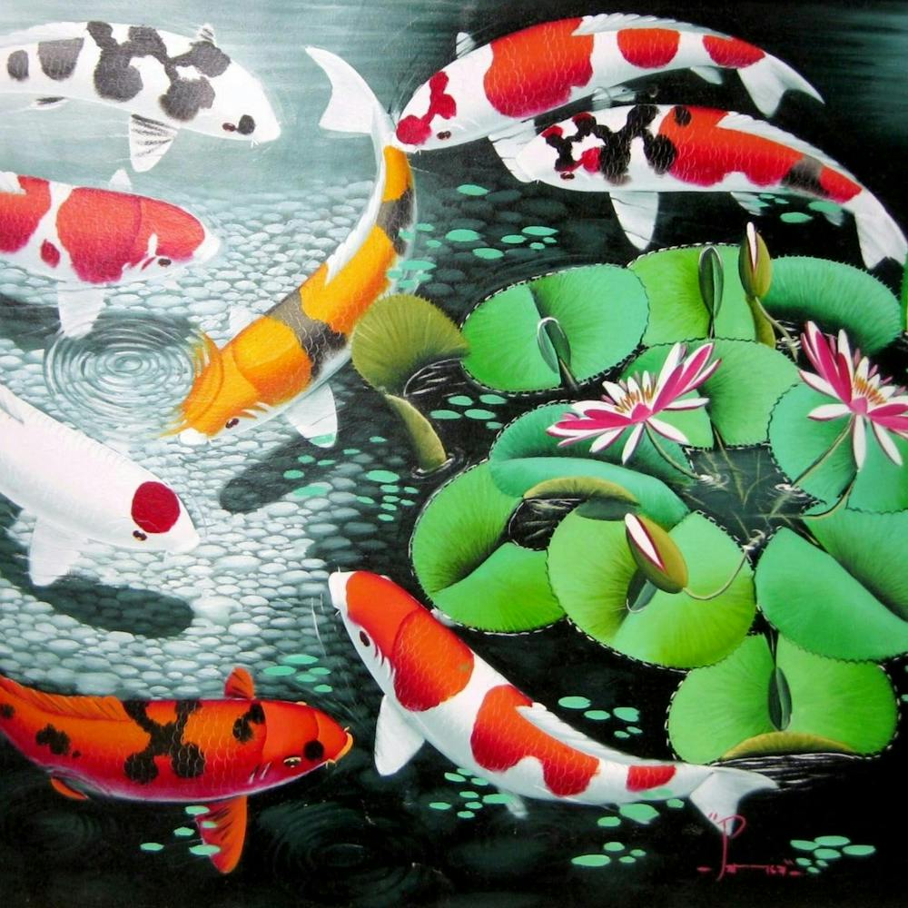 Koi Fish japan