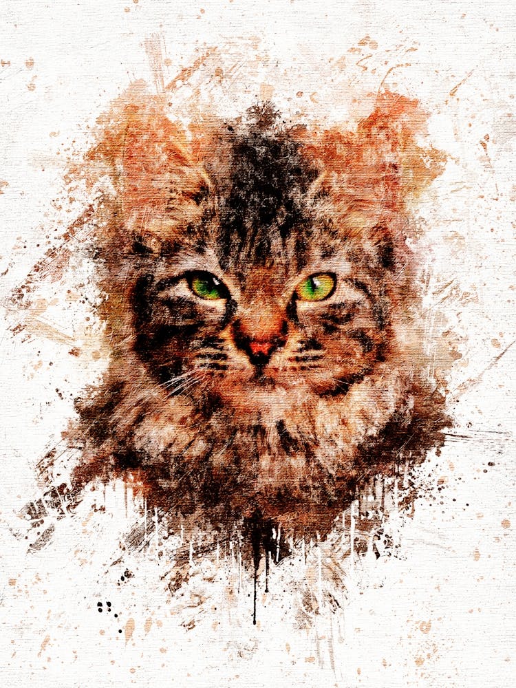 Cat Portrait Canvas Art