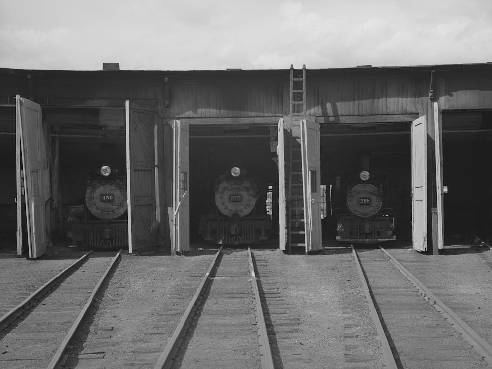 Locomotives In Roundhouse, Durango
