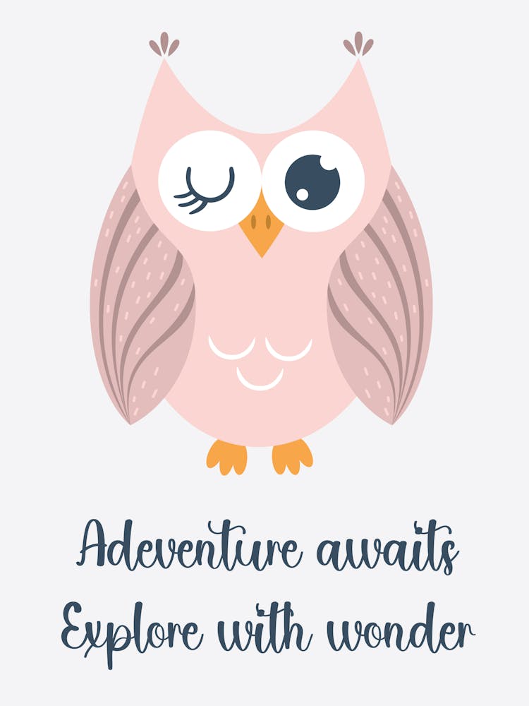 Adventure Awaits Explore With Wonder