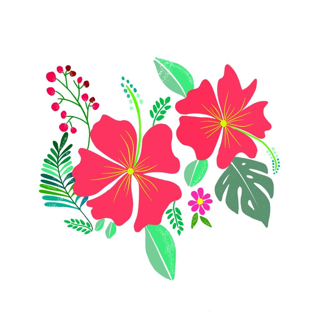 Bright Hibiscus Patterns