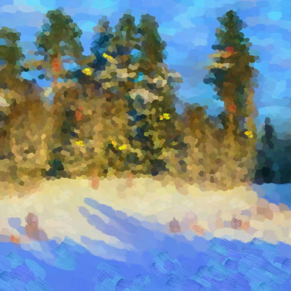 Snowy winter forest N2