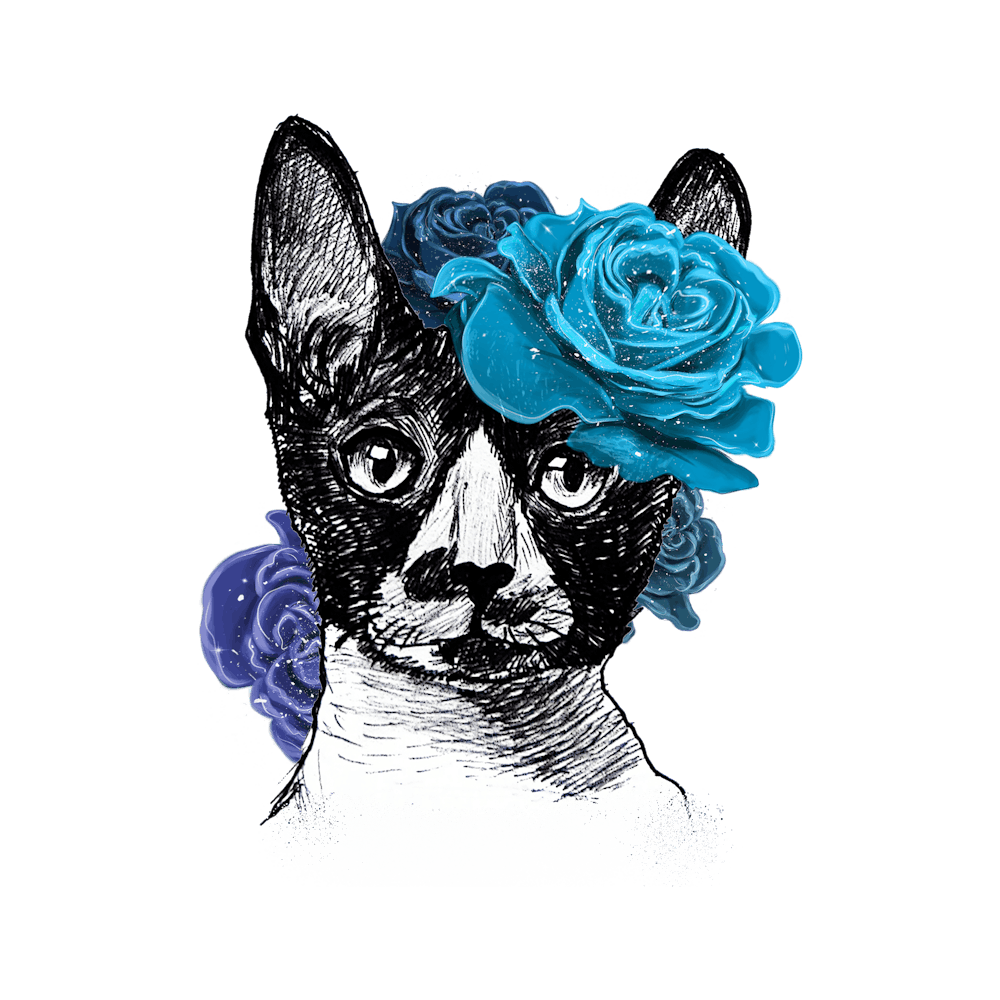 Cat With Roses