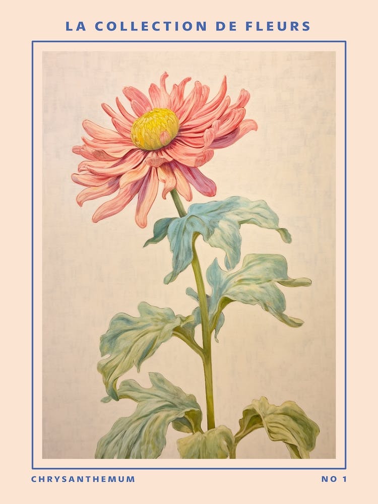 Chrysanthemum French Flower Botanical Poster