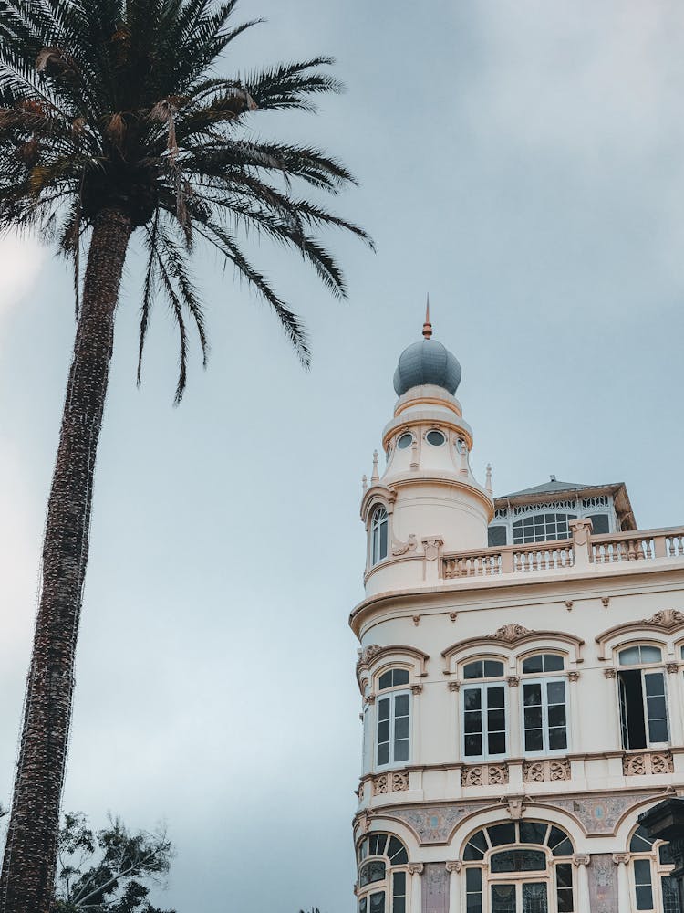 Palm Tree In Front Of A Building