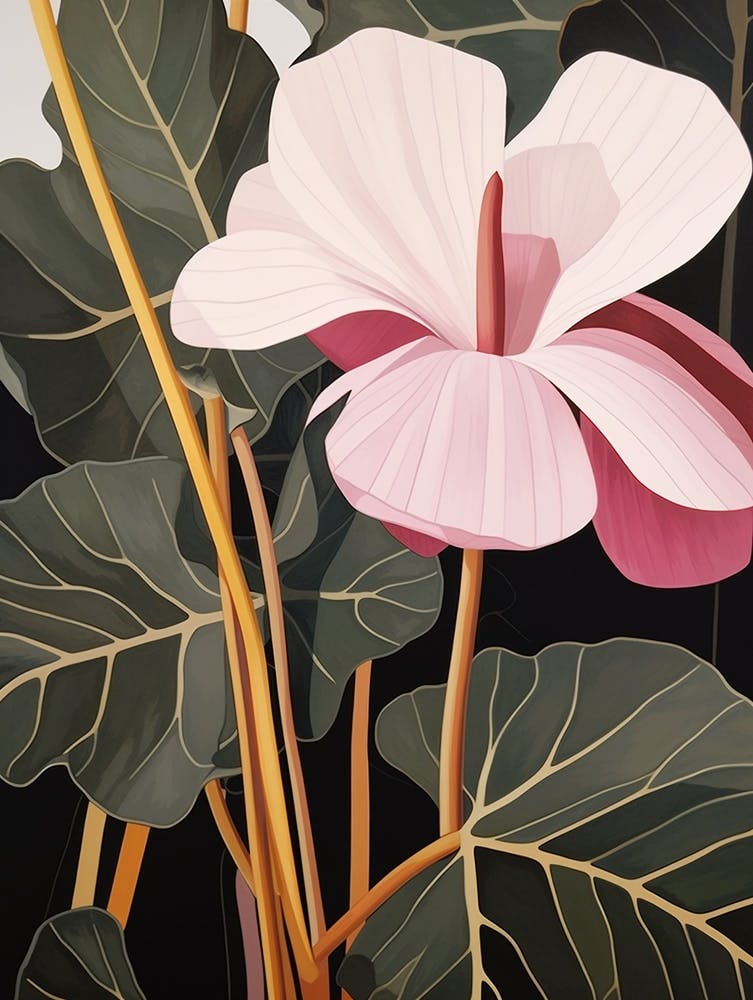 Flower Illustration Cyclamen 2
