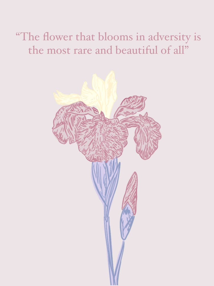Flower That Blooms In Adversity Is The Most Rare And Beautiful Of All - pink