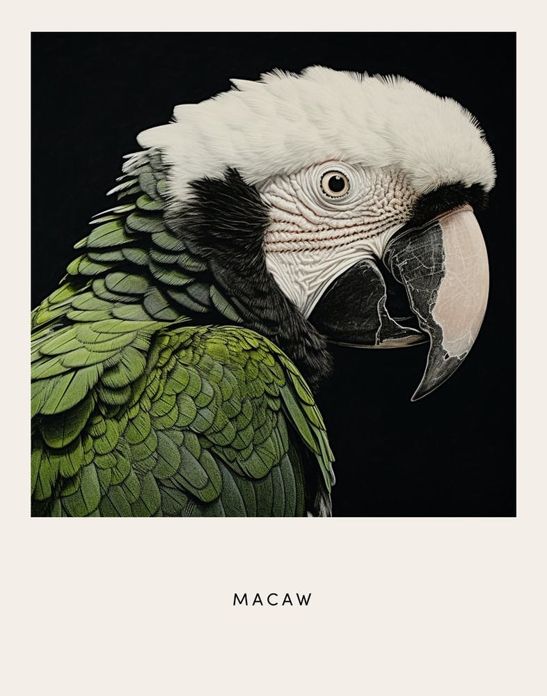 Ohara Koson Inspired Bird Painting Macaw 2 Poster