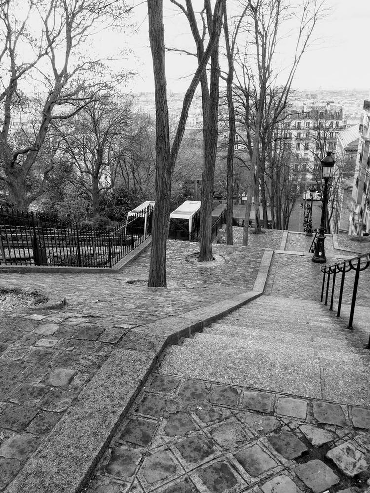 The Long Montmartre Stairs (Paris Series)