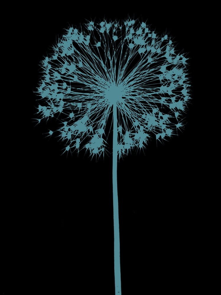 Black teal allium