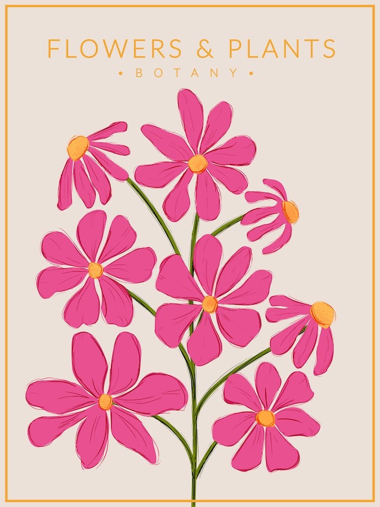 Hot Pink Flowers Botany