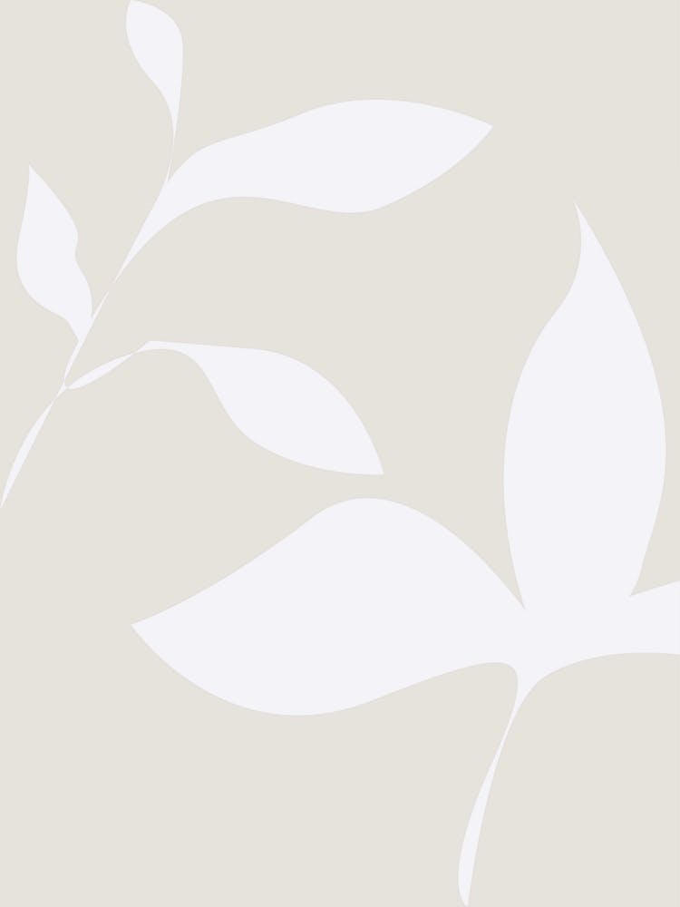 White Leaves On A Beige Background