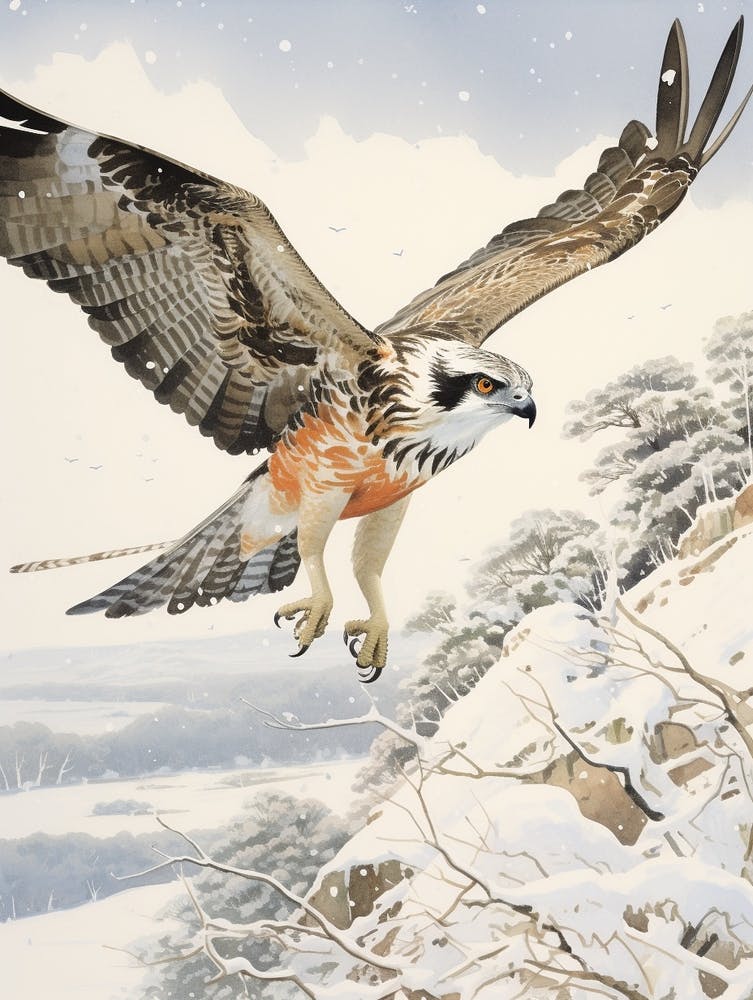 Peinture d'Oiseau Hivernal Balbuzard Pêcheur 1