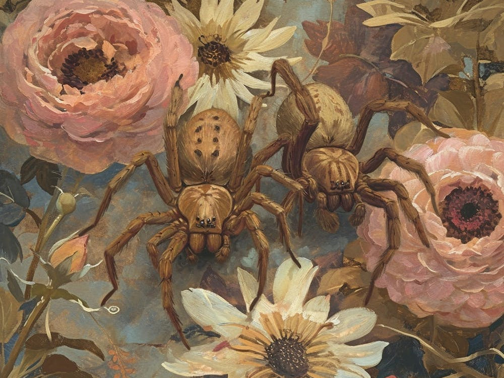Floral Animal Illustration Spider 1
