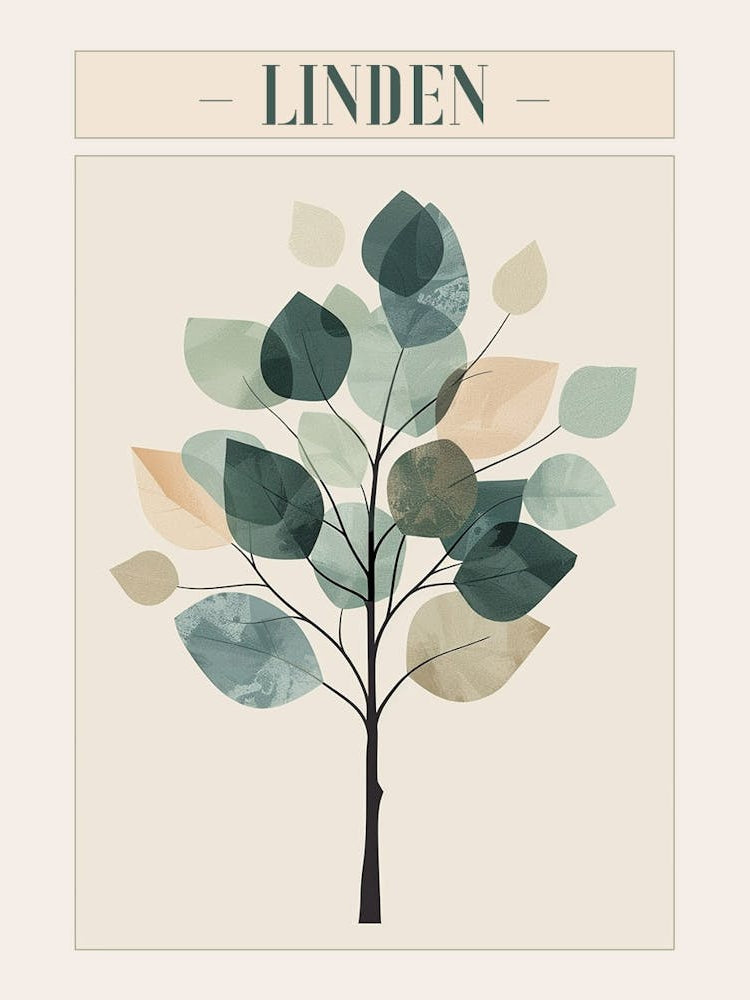 Linden Tree Minimal Japandi Illustration 4 Poster