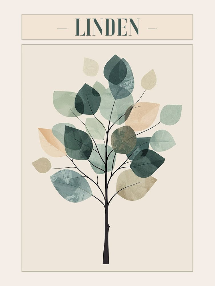 Linden Tree Minimal Japandi Illustration 4 Poster