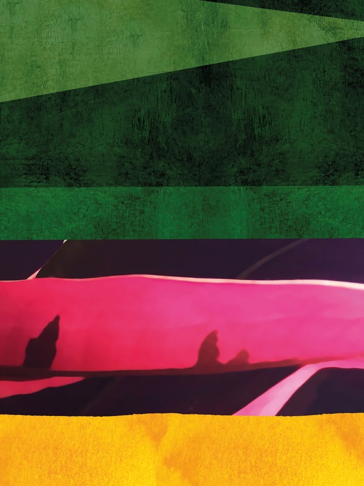 Green And Pink Vibrant2