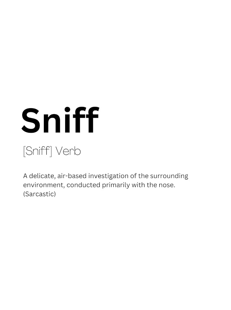 Sniff Definition Meaning 1