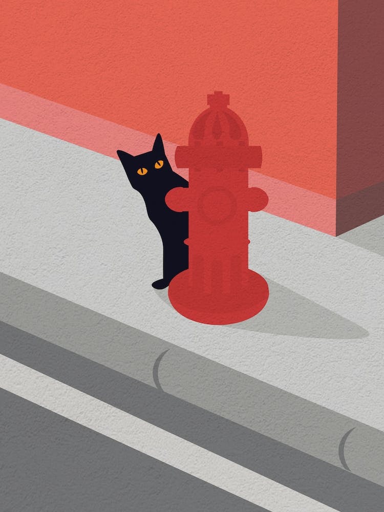 Minimal Art Cat On Fire Hydrant
