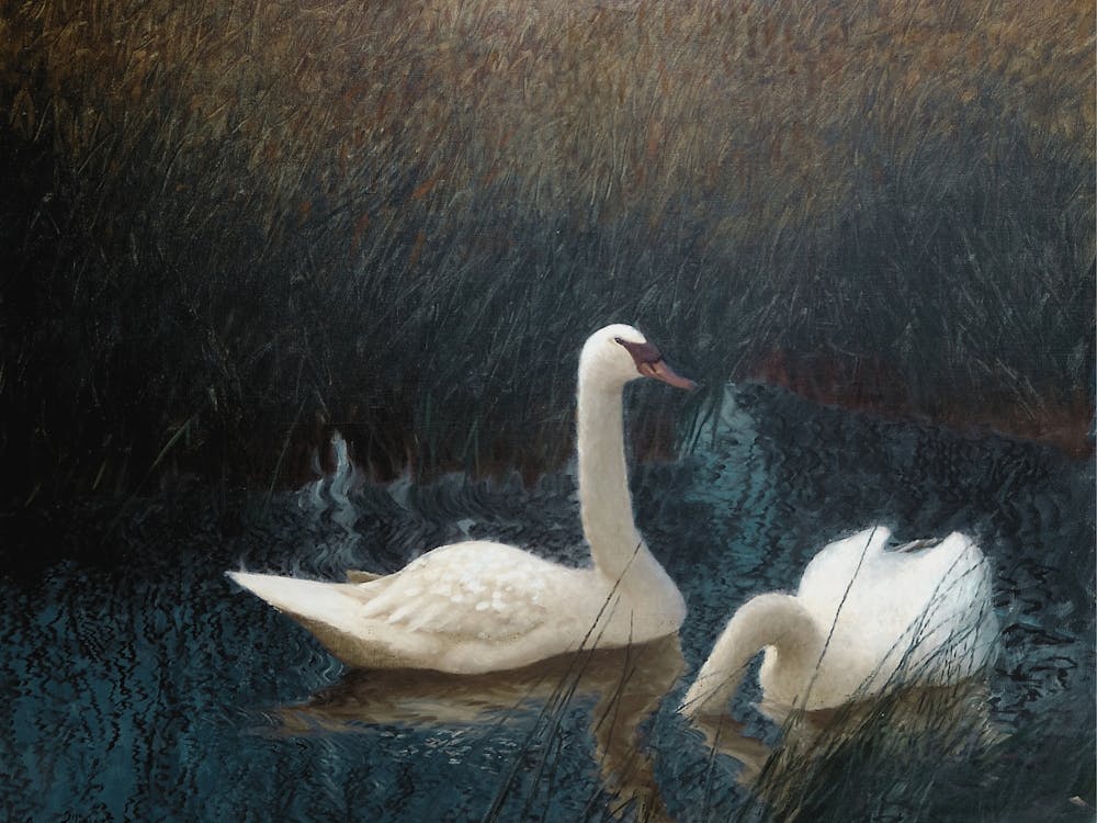 Swans Vintage Iskandinav Farmhouse Wall Art